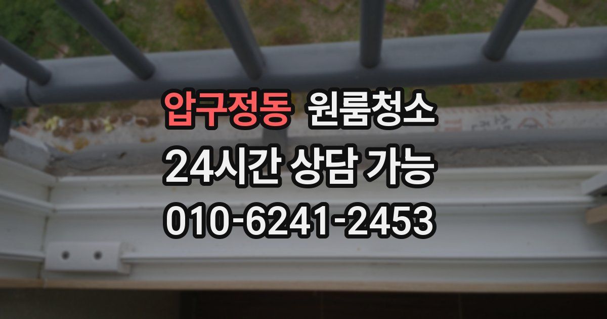 압구정동 입주청소