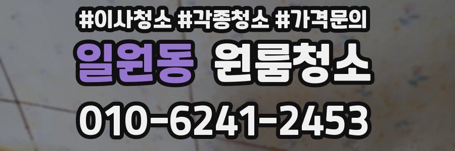 일원동 이사청소