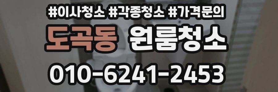 도곡동 이사청소