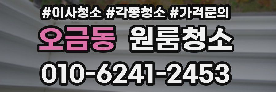 오금동 이사청소