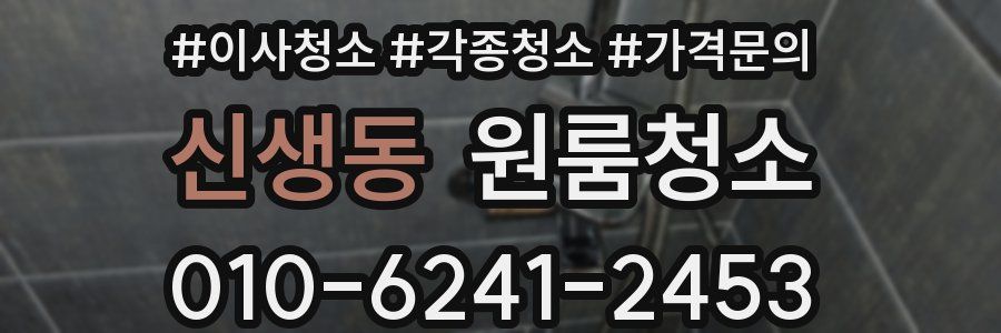 신생동 이사청소