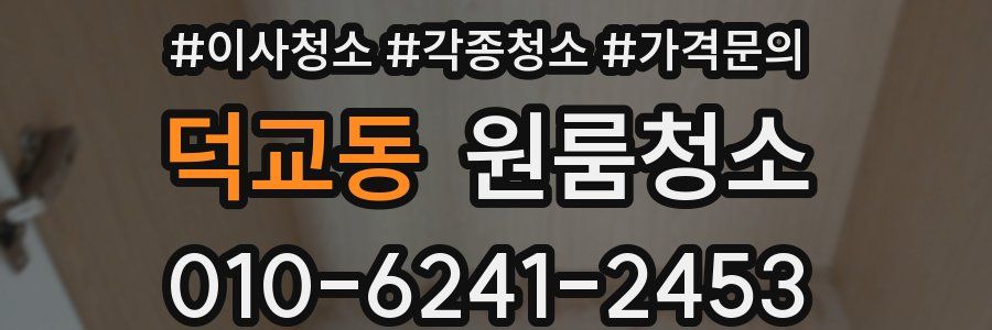 덕교동 이사청소