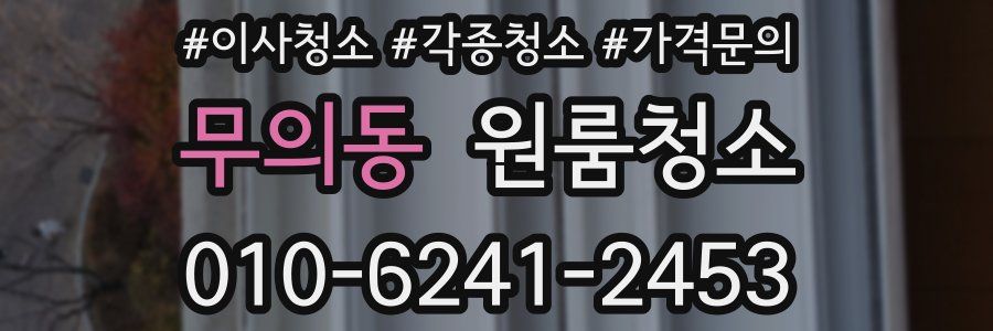 무의동 이사청소