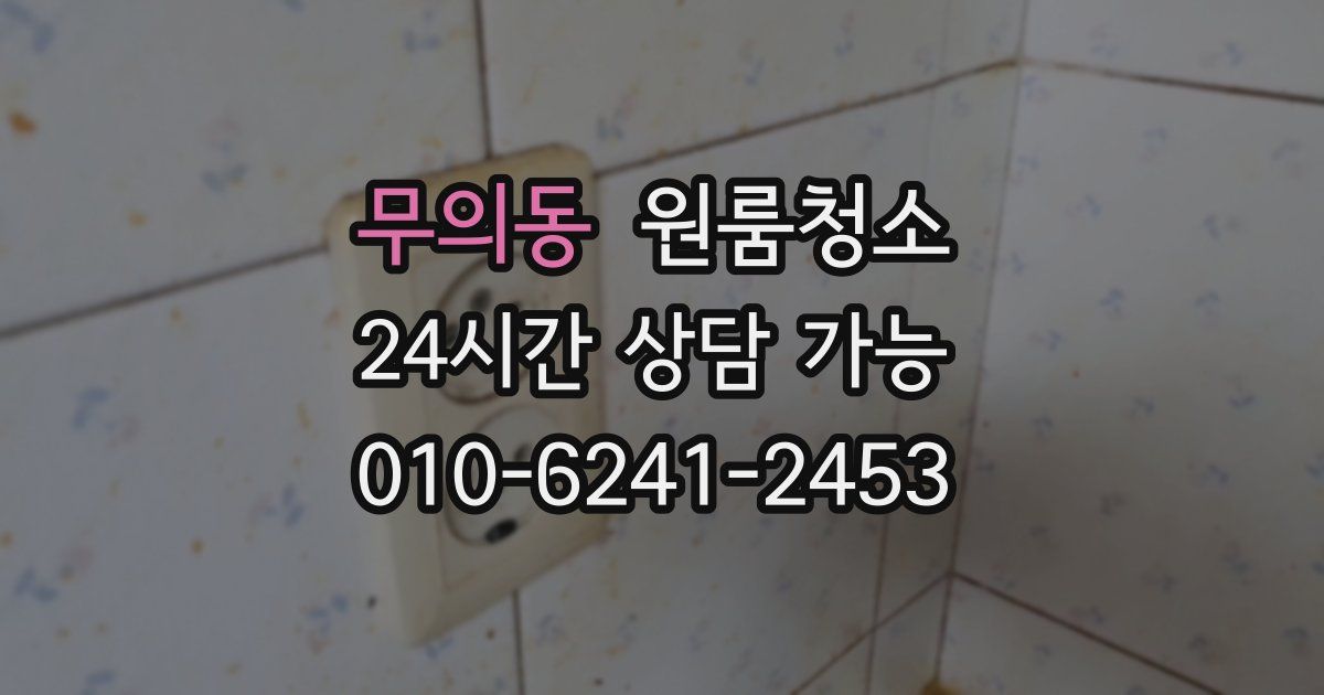 무의동 입주청소