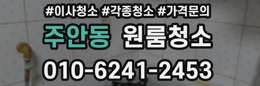 주안동 이사청소