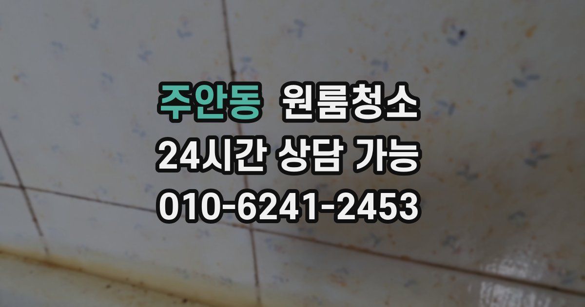 주안동 입주청소