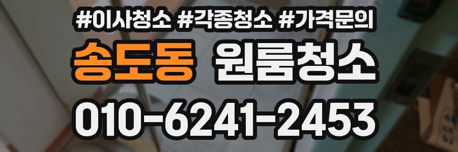 송도동 이사청소