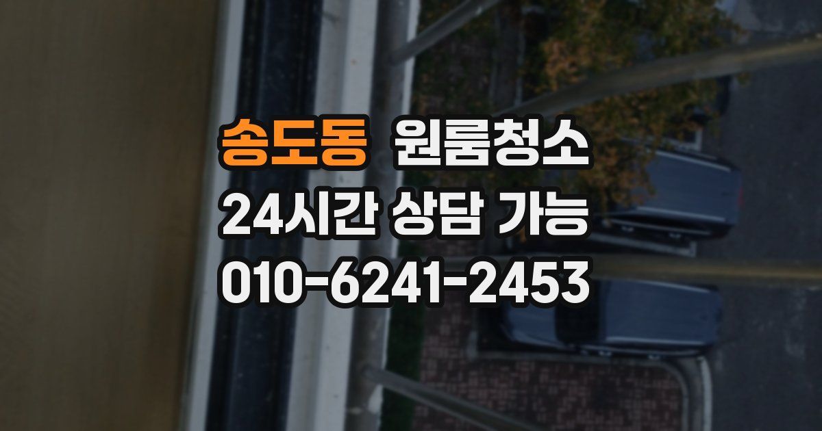 송도동 입주청소