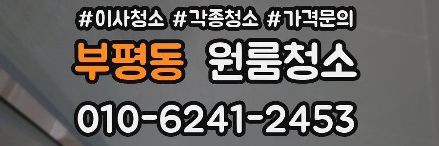 부평동 이사청소