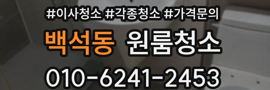 백석동 이사청소