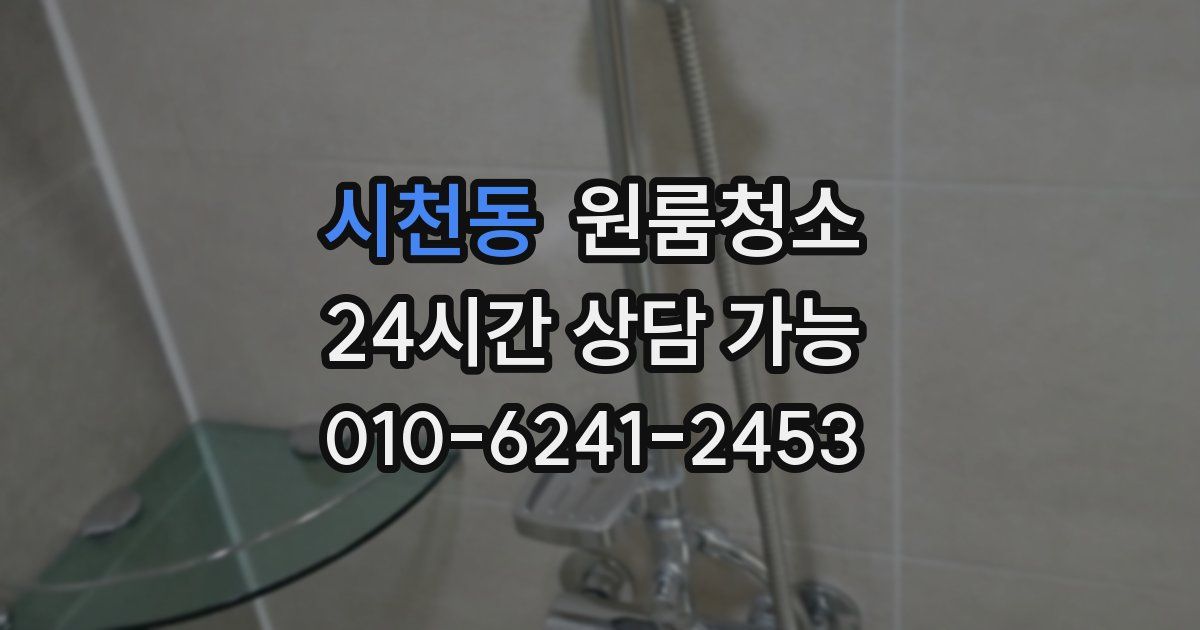 시천동 입주청소