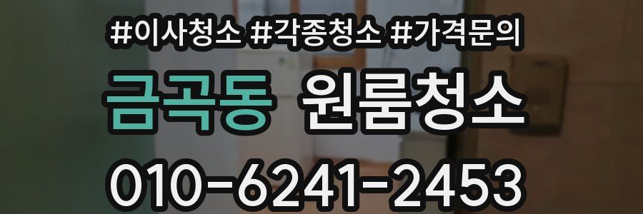 금곡동 이사청소