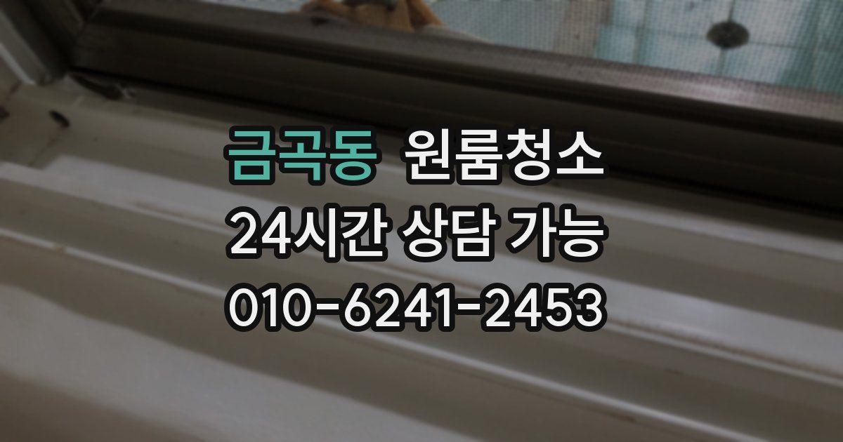 금곡동 입주청소