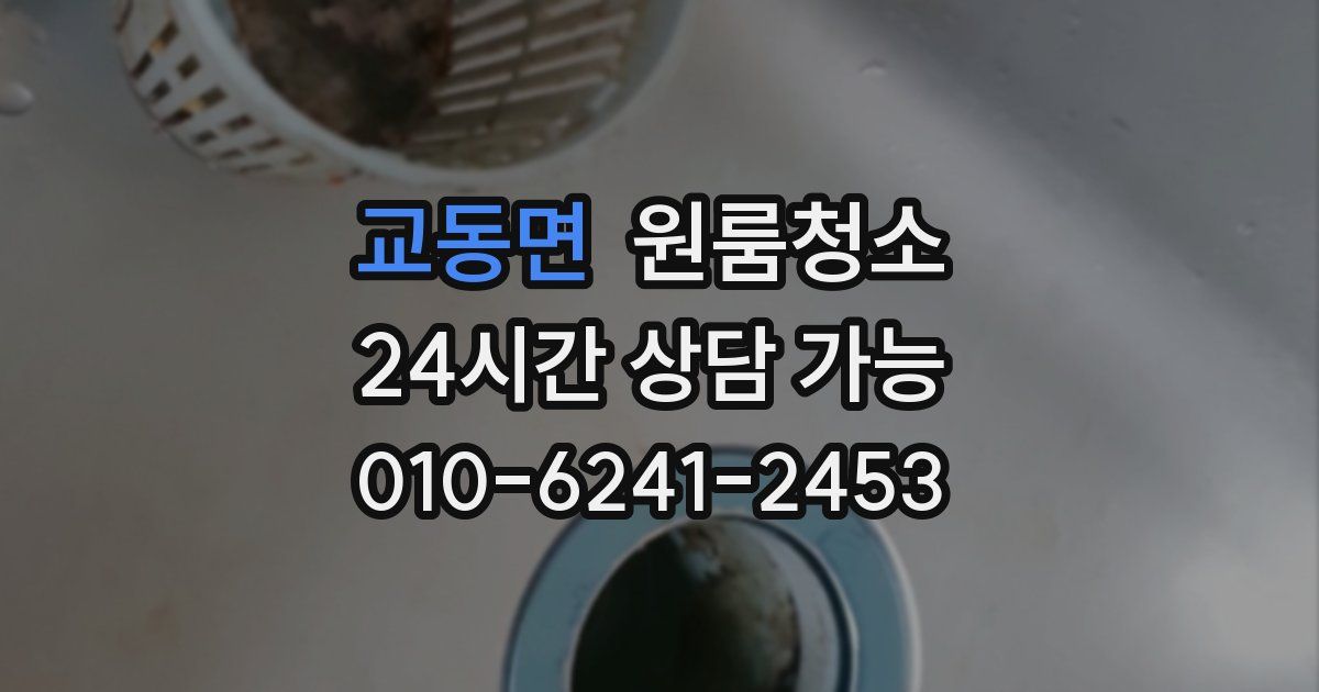 교동면 입주청소