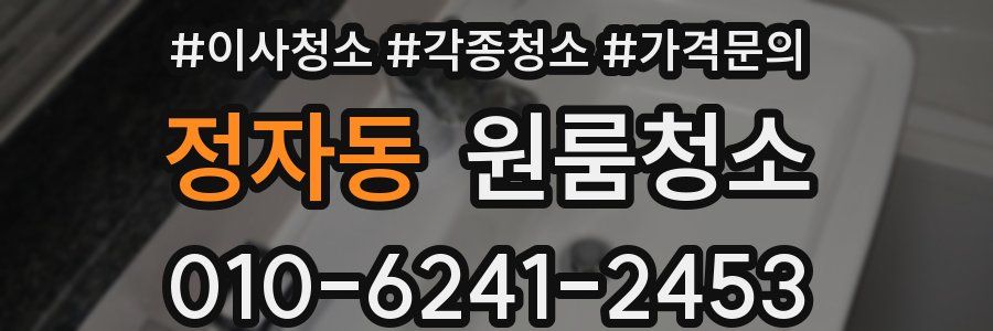 정자동 이사청소