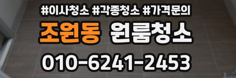 조원동 이사청소