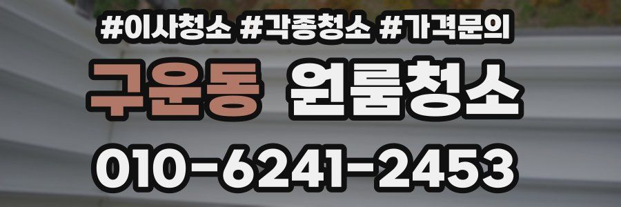 구운동 이사청소