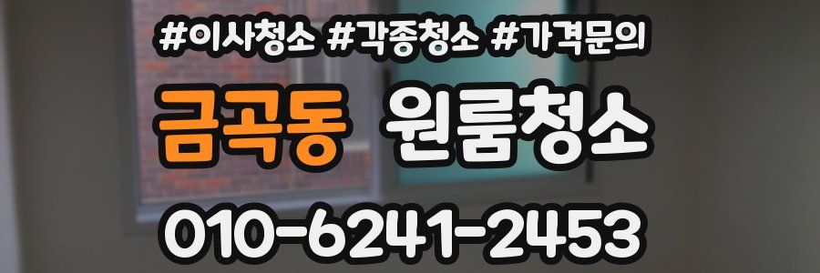 금곡동 이사청소