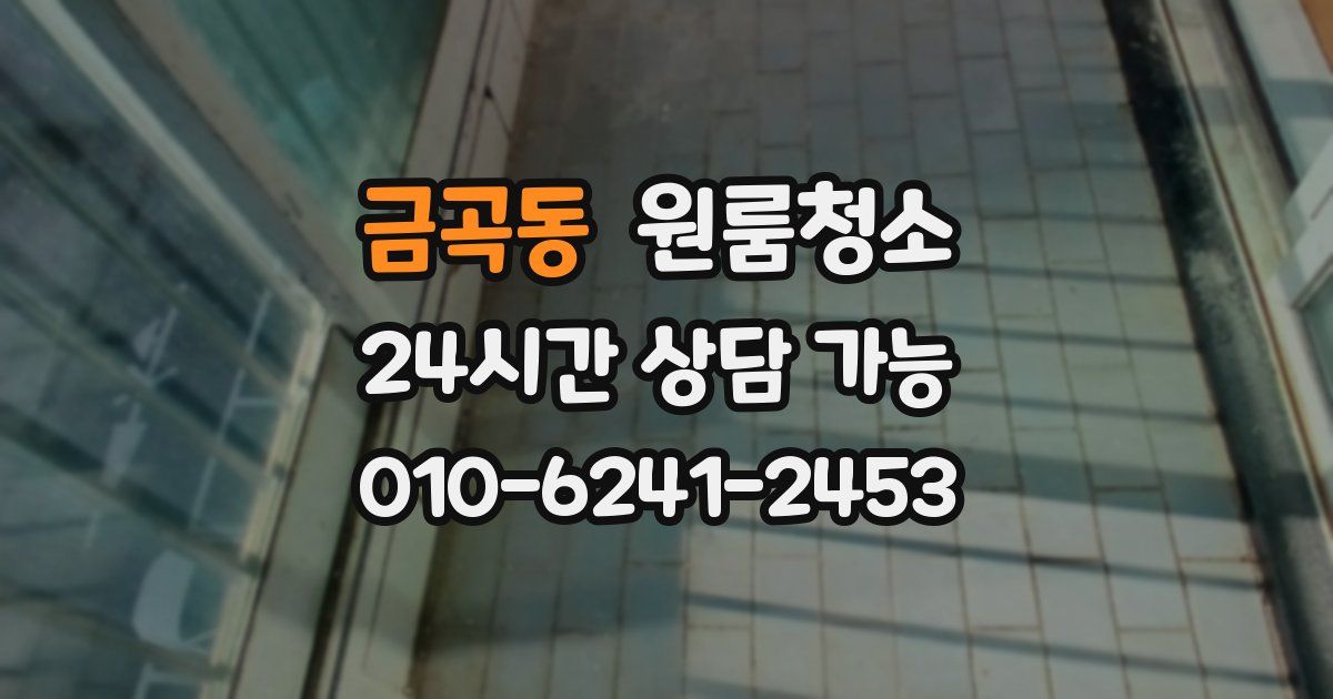 금곡동 입주청소