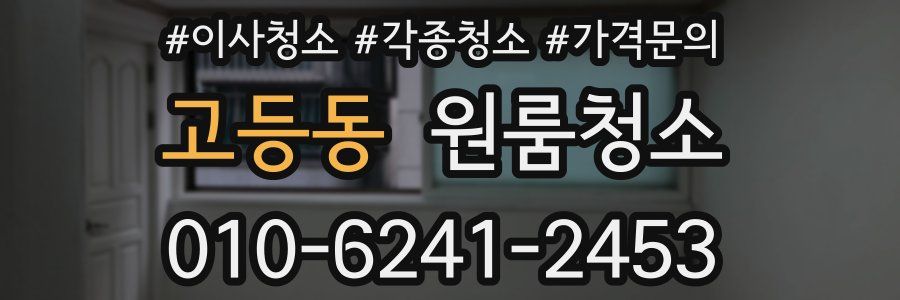고등동 이사청소