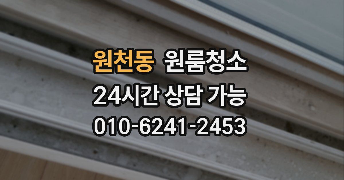 원천동 입주청소