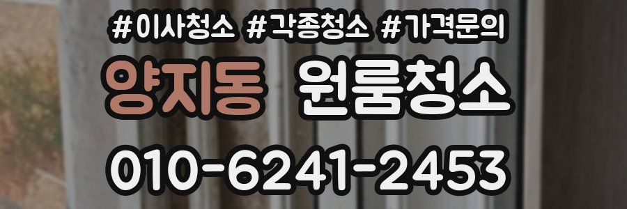 양지동 이사청소