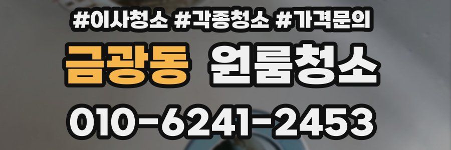 금광동 이사청소