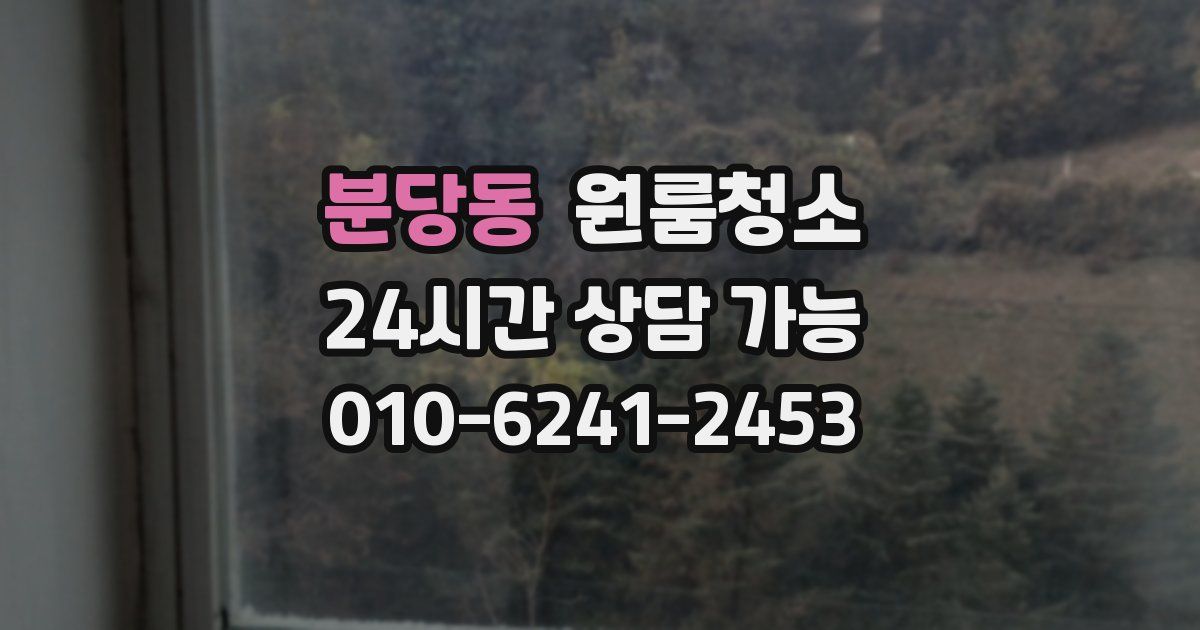 분당동 입주청소