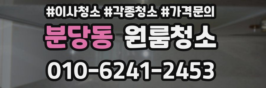 분당동 이사청소