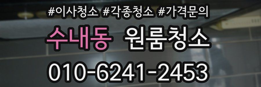 수내동 이사청소