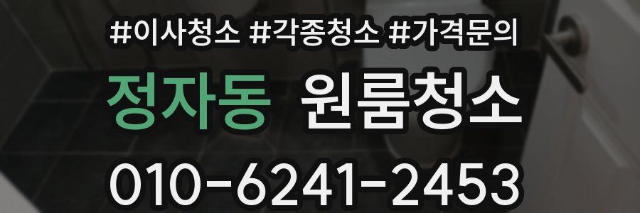 정자동 이사청소