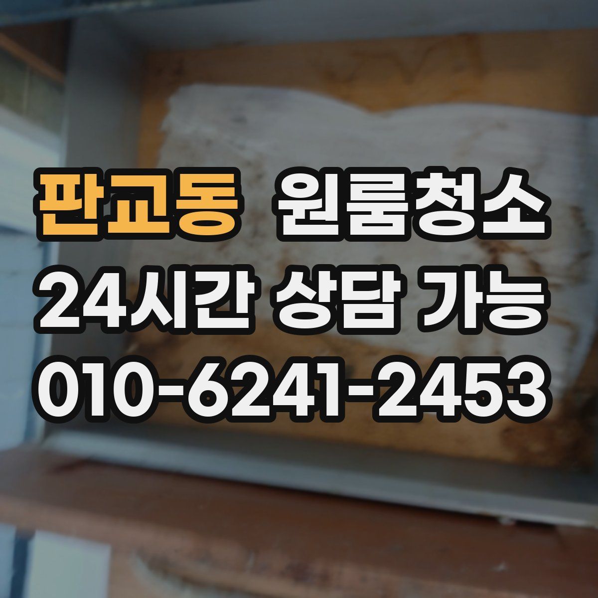 판교동 원룸청소