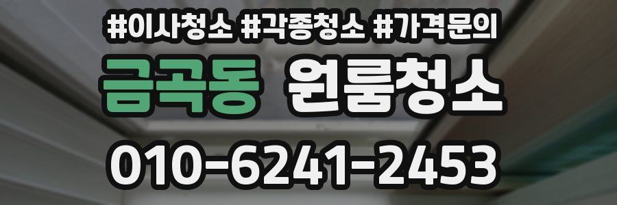 금곡동 이사청소