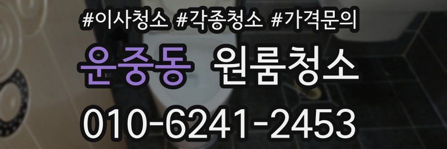 운중동 이사청소