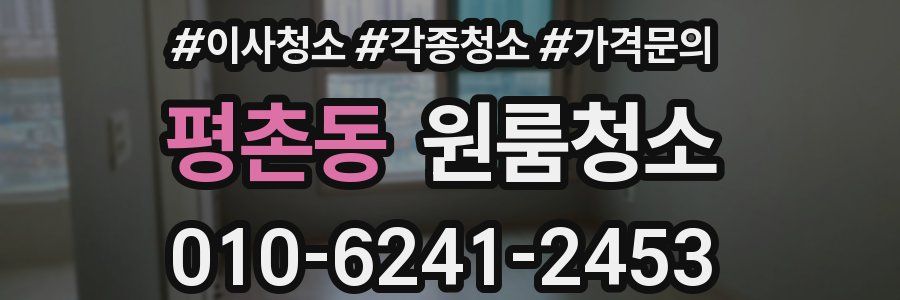 평촌동 이사청소