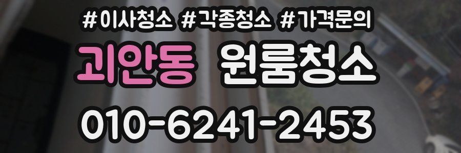 괴안동 이사청소