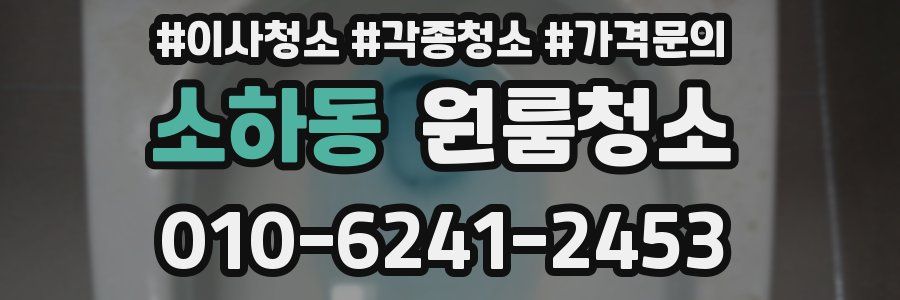 소하동 이사청소