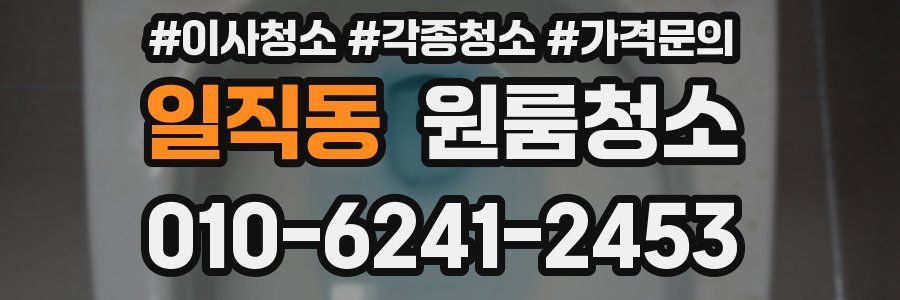 일직동 이사청소