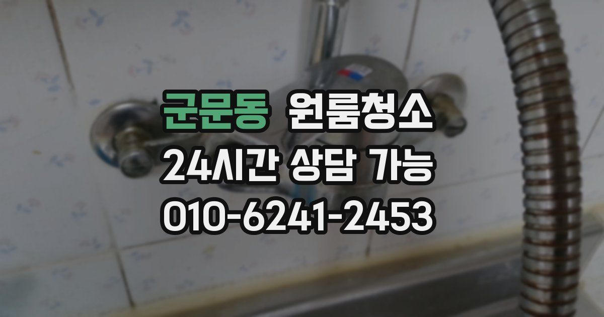 군문동 입주청소
