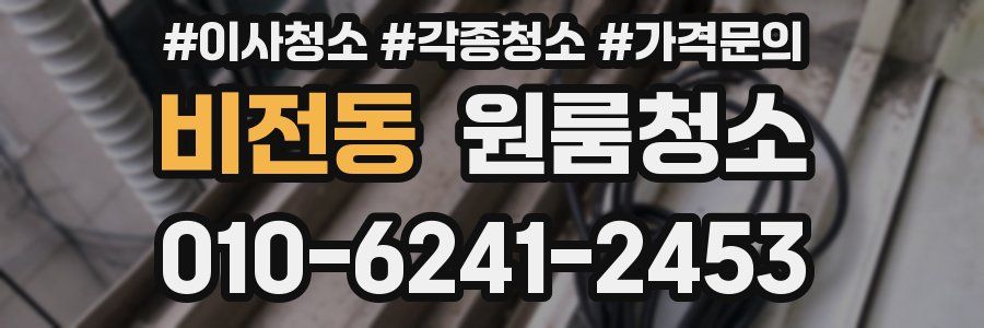 비전동 이사청소