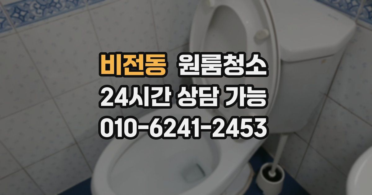 비전동 입주청소