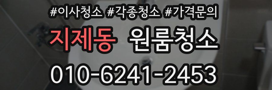 지제동 이사청소
