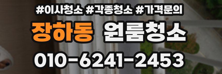 장하동 이사청소