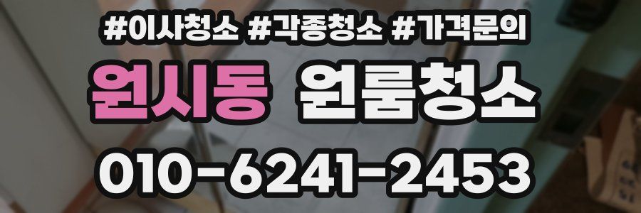 원시동 이사청소