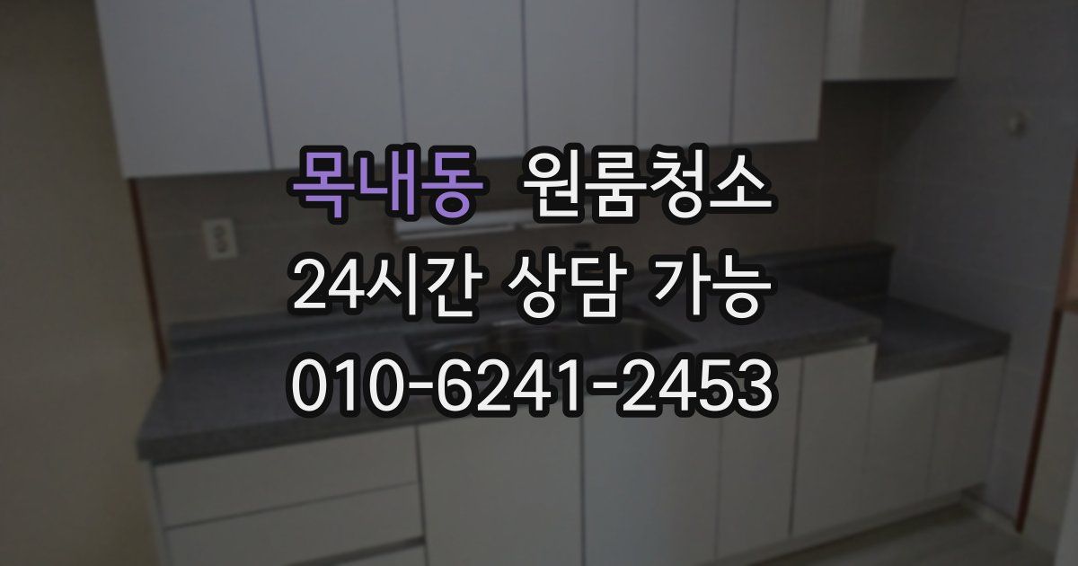 목내동 입주청소