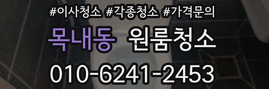 목내동 이사청소