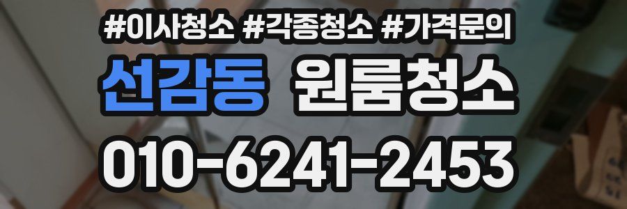 선감동 이사청소