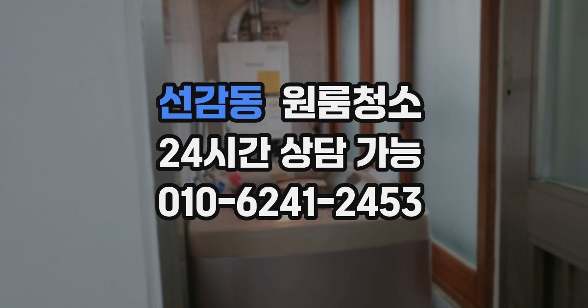 선감동 입주청소