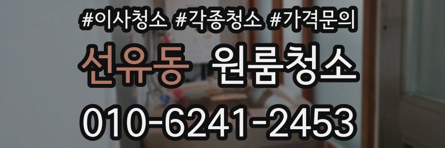 선유동 이사청소