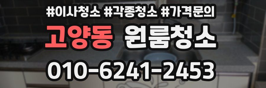 고양동 이사청소